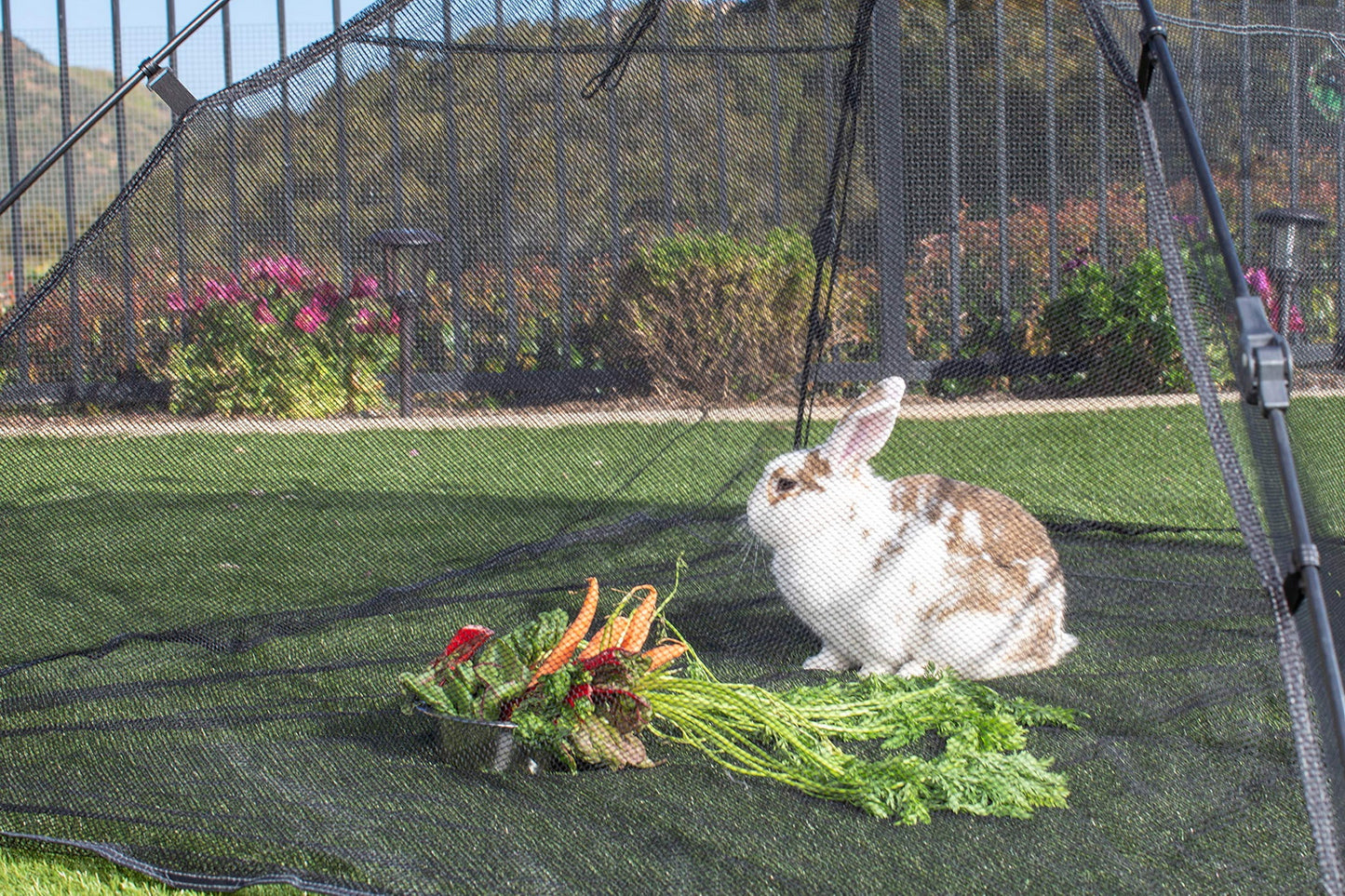 Outdoor Cat Enclosures Indoor Cats Portable Tent, Cat Tunnel, Playhouse Play Tents Small Animals