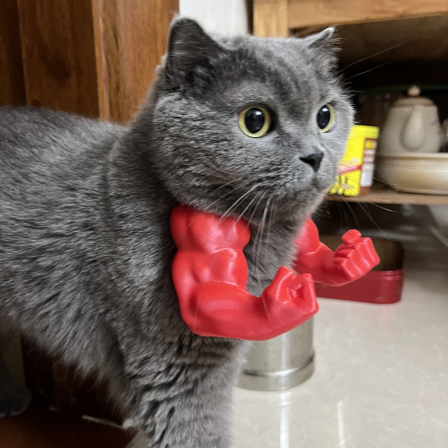 2pc Hilarious Muscle Arm Pet Costume Prop - Funny Novelty Arms for Cats & Small Dogs(pink)