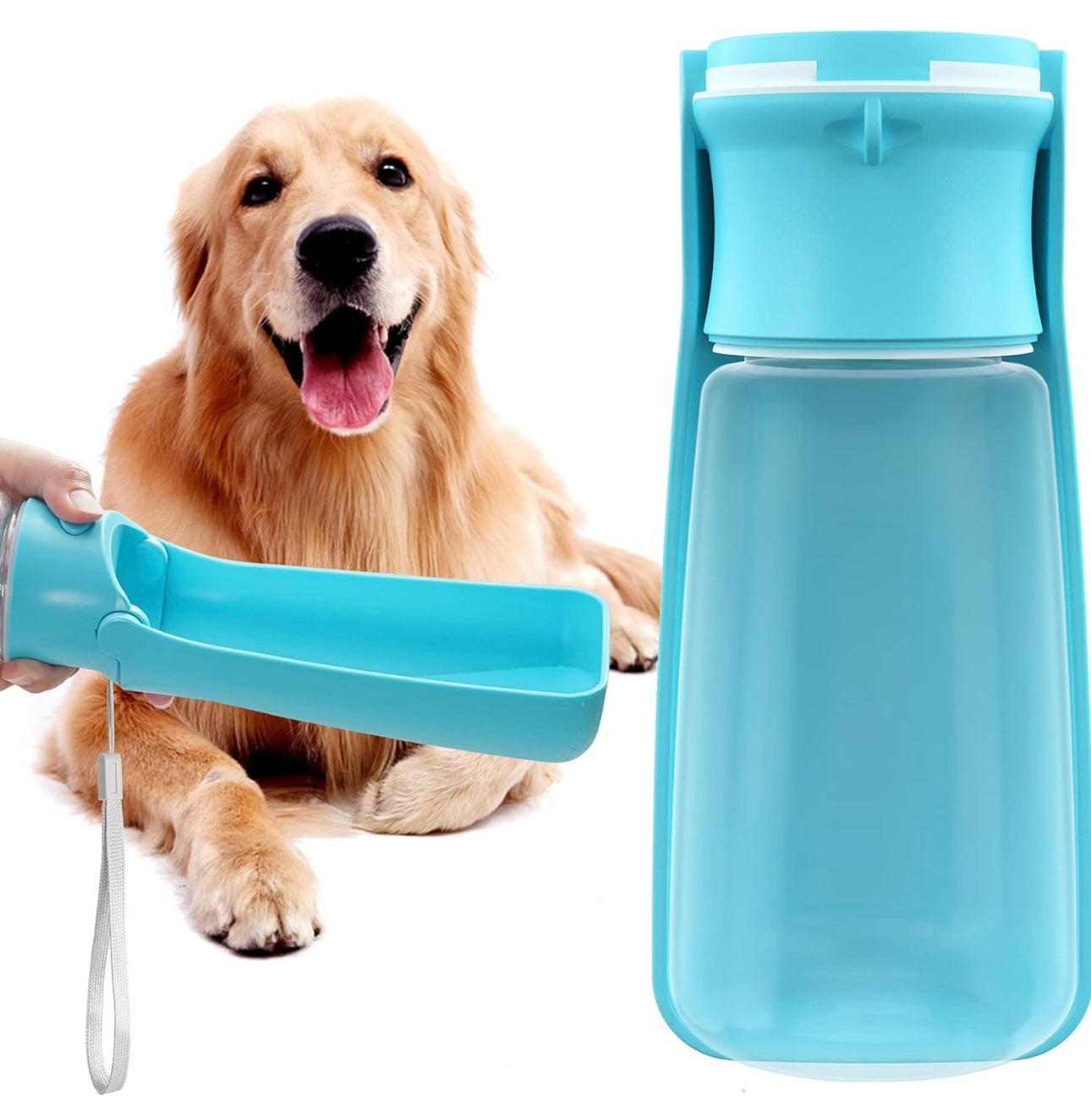 Pet