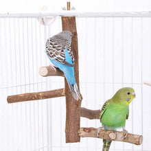 Load image into Gallery viewer, Natural Wood Bird Branch Stand Perches Pet Parakeet Budgie Hanging Play Toy Bird Cage Parrot Wooden Desk Holder Perches Platform
