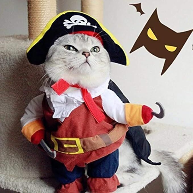 Pet products  New Funny Pet Clothes Pirate Dog Cat Costume Suit Corsair Dressing up Party Apparel Clothing for Cat Dog Plus Hat