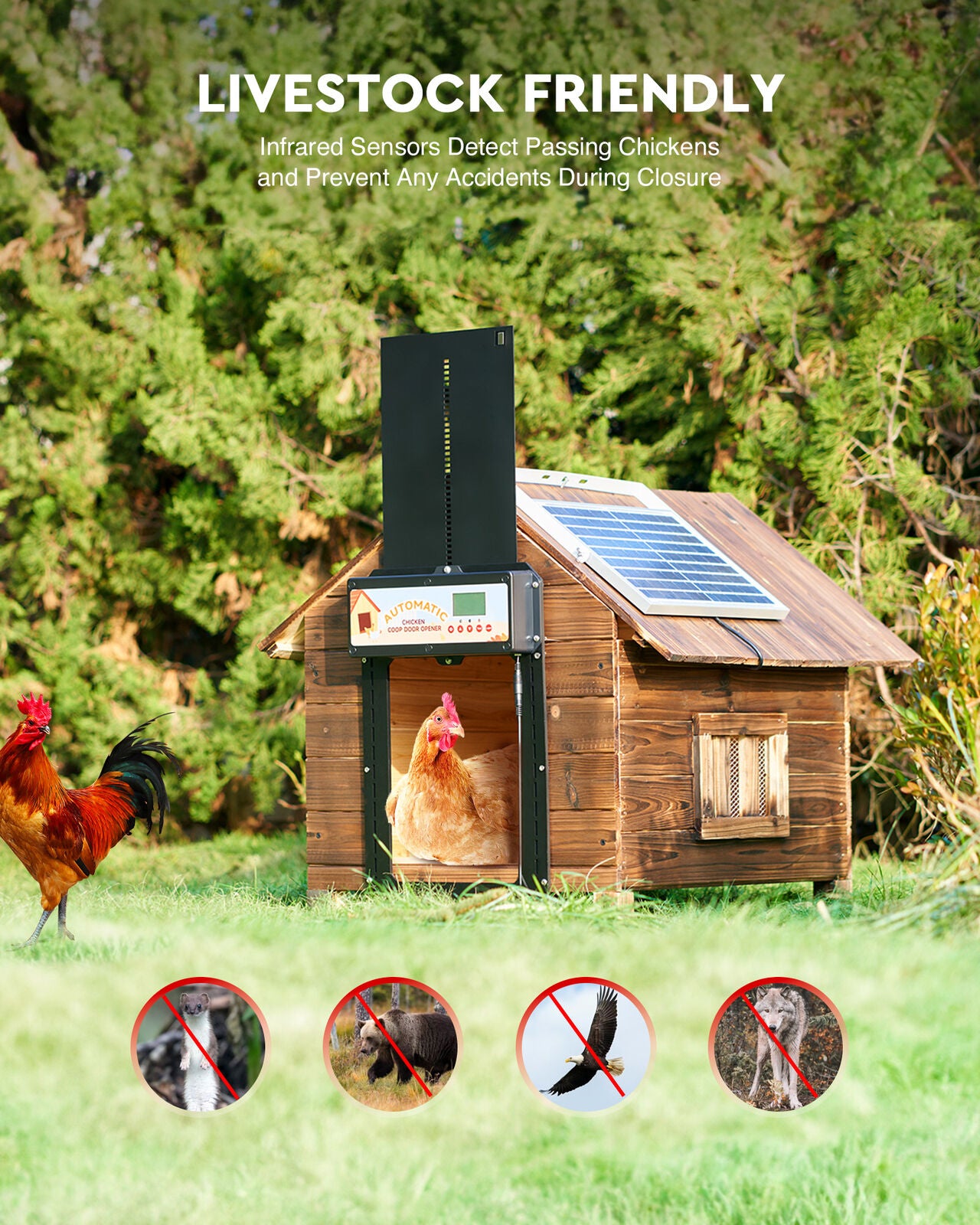 Automatic Chicken Coop Door Solar/Battery/AC 6W Aluminum Copper
