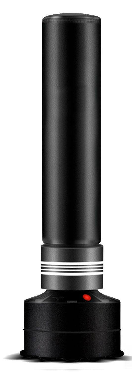 Standing Boxing Bag Punch Training for Adults Kids 170cm