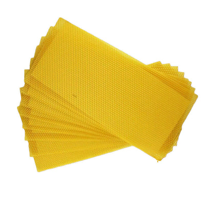 30Pcs Bee Hive Wax Honeycomb Bee Hives Beekeeping Equipment Frames Foundation