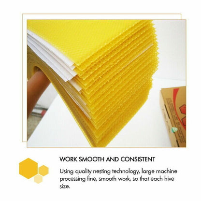 30Pcs Bee Hive Wax Honeycomb Bee Hives Beekeeping Equipment Frames Foundation