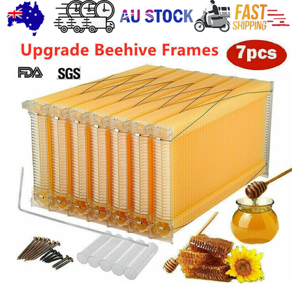 Neweast 7Pcs Flow Bee Comb Hive Frames For Wooden Beekeeping Beehive House