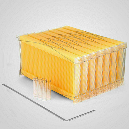 Neweast 7Pcs Flow Bee Comb Hive Frames For Wooden Beekeeping Beehive House
