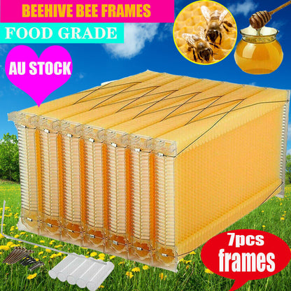 Neweast 7Pcs Flow Bee Comb Hive Frames For Wooden Beekeeping Beehive House