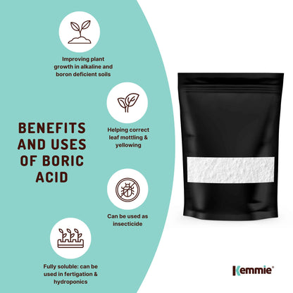 400g Boric Acid Powder High Purity Fully Soluble Granule Pest Ant Cockroaches