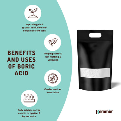 20Kg Boric Acid Powder High Purity Fully Soluble Granule Pest Ant Cockroaches