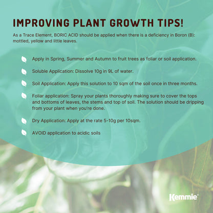 1Kg Boric Acid Powder Bucket 99.9% Pure Fully Soluble Granule Pest Ant Roaches