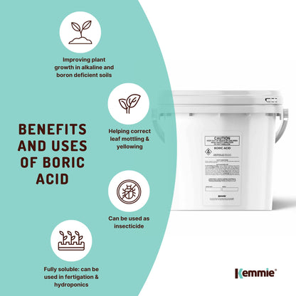 4.9Kg Boric Acid Powder Bucket 99.9% Pure Fully Soluble Granule Pest Ant Roaches