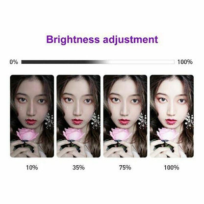 8" Led Ring Light With Tripod Stand & Phone Holder Dimmable Desk Makeup Kit Usau