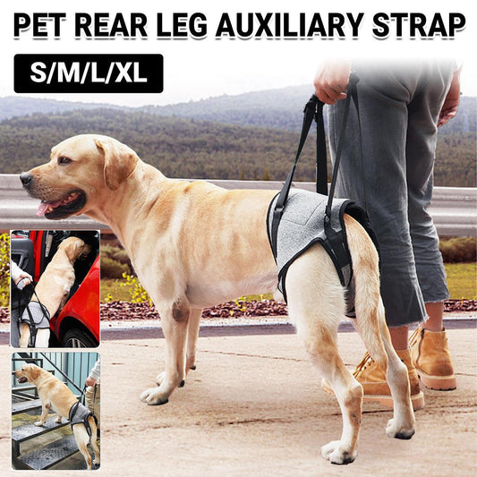 Decompression Back Leg Strap for Injured and Older Dogs Support Harness Aid - XL