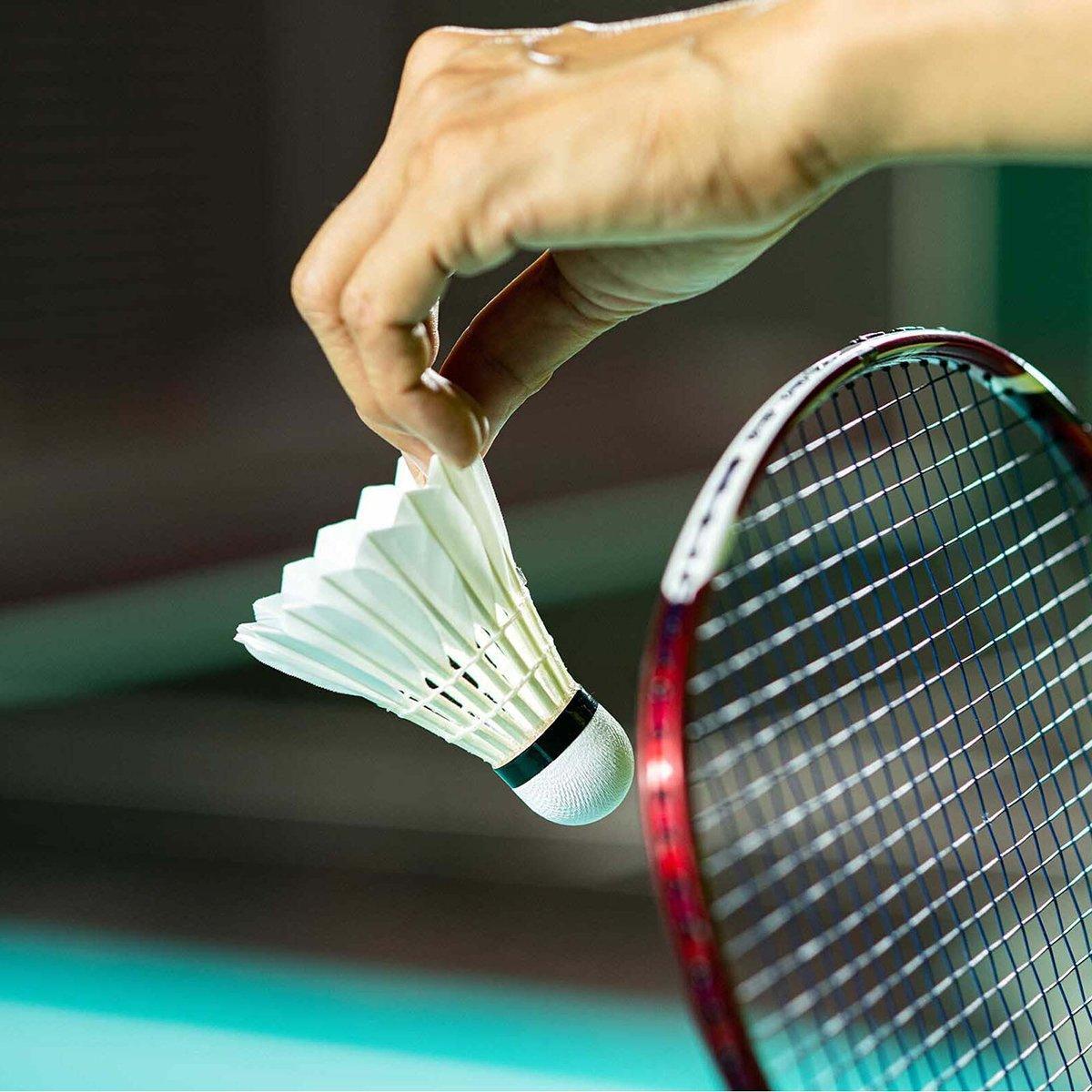 12 Pcs Badminton Shuttlecocks Durable Gooes Feather Badminton Ball For Training