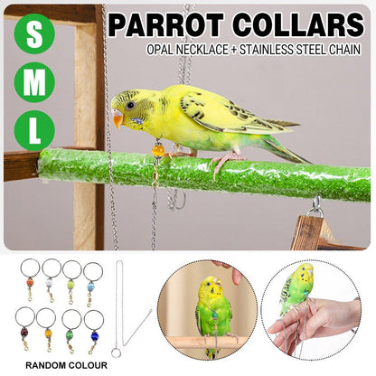 Parrot Neck Collar Stainless Steel Bird Chain Training Adjustable Bird Leash - M-Diameter 1.9cm