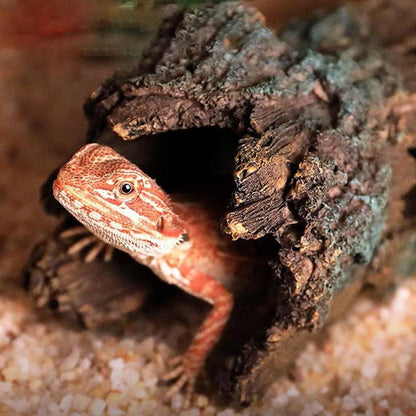 Tree Log Hide Ornament Trunk Tunnel Fish Reptile Tank Resin Aquarium Decoration - Small