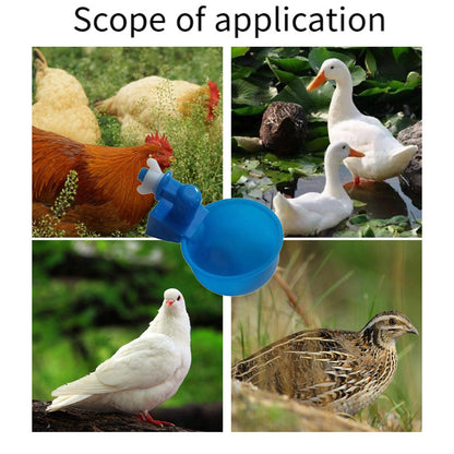 6pcs Chicken Drinking Bowl Poultry Waterer Feeder Automatic Drinking Cups Coop