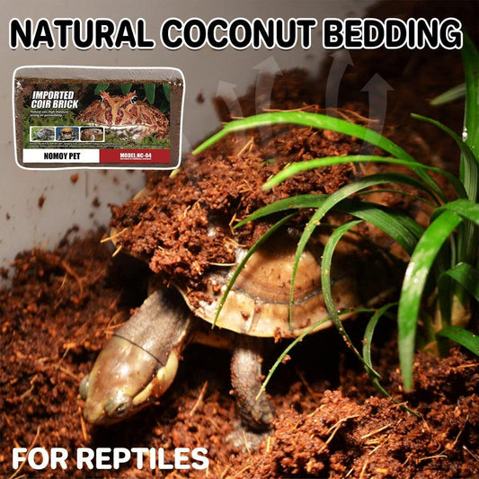 Natural Coconut Fibre Reptile Bedding Brick 650g Substrate for Tortoise Snake Spider