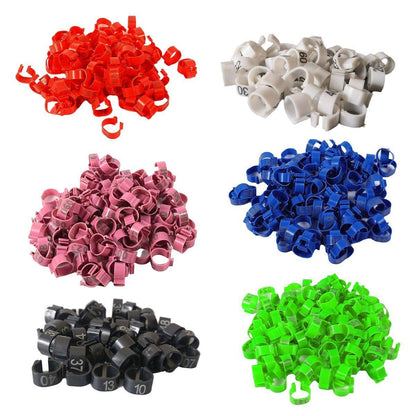 100X 001-100 Digital Numbered Bird Leg Band Rings Clip For Pigeon Parrot Poultry - Black