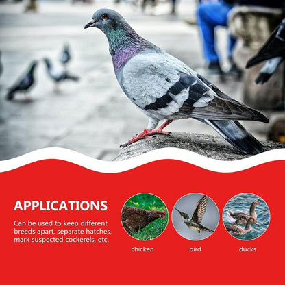 100X 001-100 Digital Numbered Bird Leg Band Rings Clip For Pigeon Parrot Poultry - Red