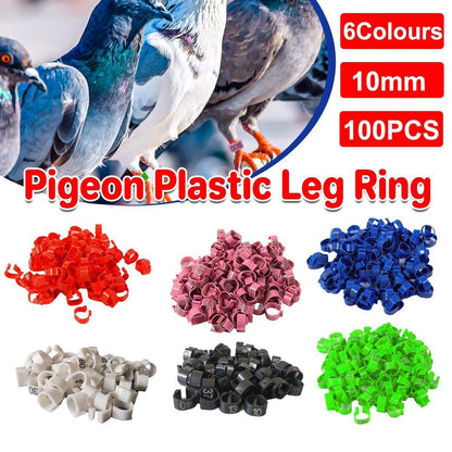 100X 001-100 Digital Numbered Bird Leg Band Rings Clip For Pigeon Parrot Poultry - White