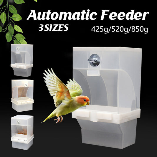 1 pc Automatic Bird Feeder Bird Feeder Cage Accessories Automatic Feed Cage - 520g