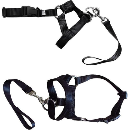 Black Dog Training Head Collar Halter Stop Pulling Training Tool Harness Strap Leader - L