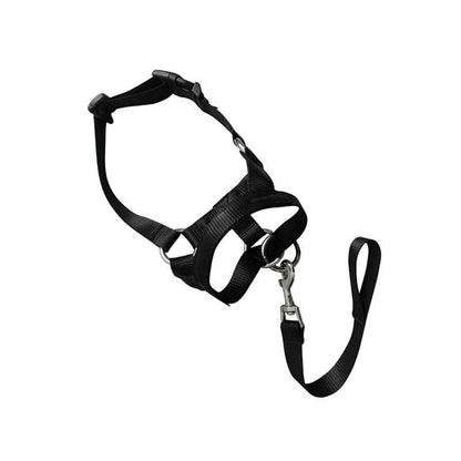 Black Dog Training Head Collar Halter Stop Pulling Training Tool Harness Strap Leader - L
