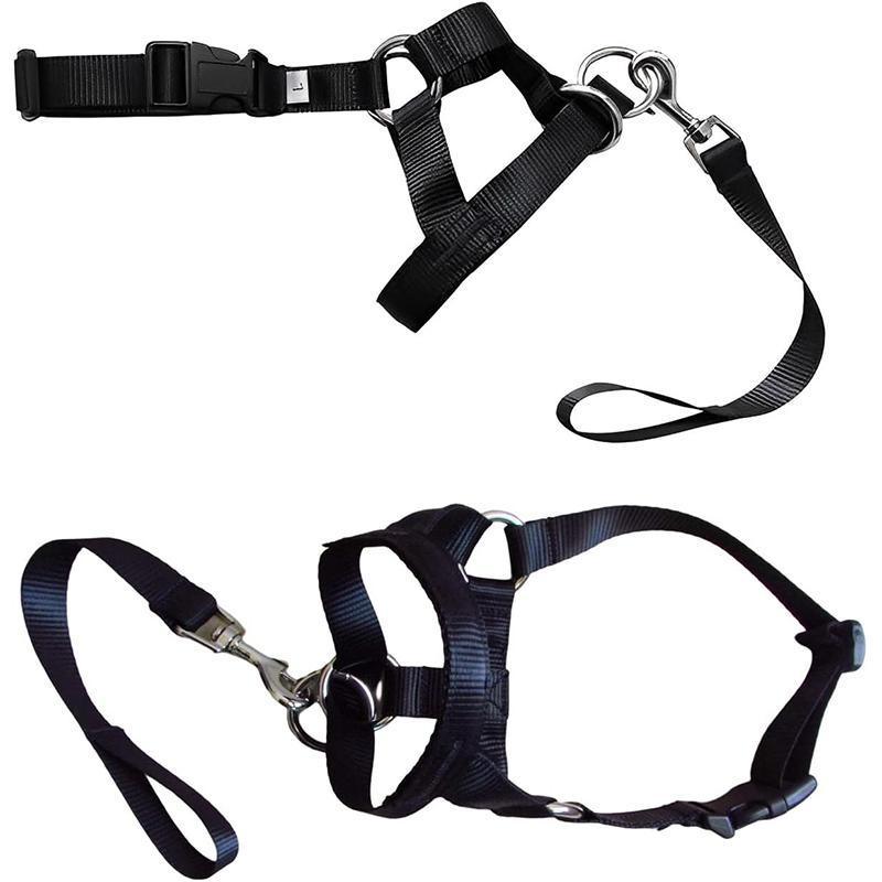 Black Dog Training Head Collar Halter Stop Pulling Training Tool Harness Strap Leader - XL