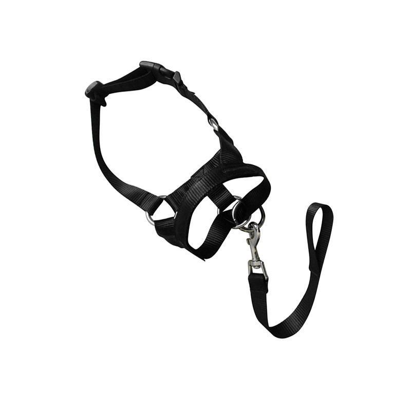Black Dog Training Head Collar Halter Stop Pulling Training Tool Harness Strap Leader - XL