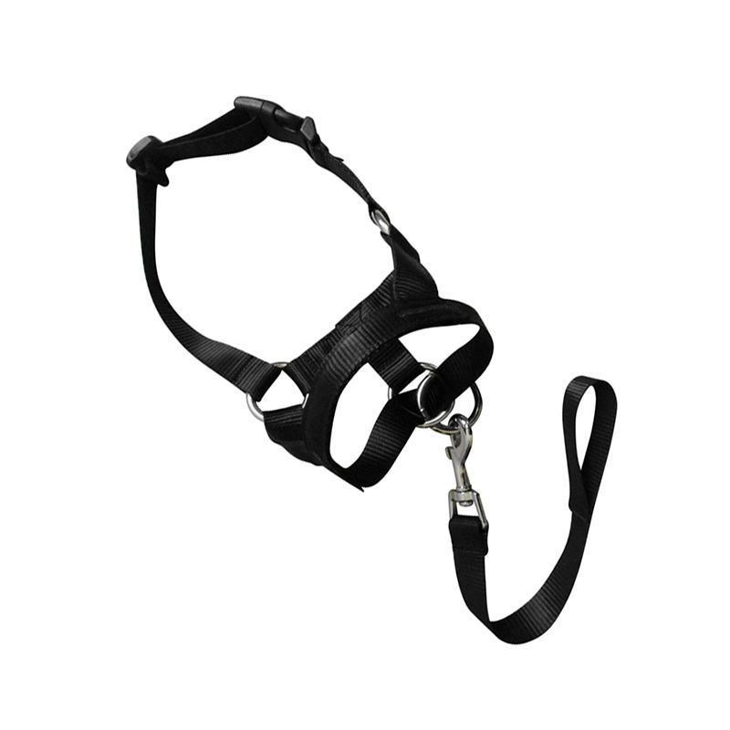 Black Dog Training Head Collar Halter Stop Pulling Training Tool Harness Strap Leader - XL