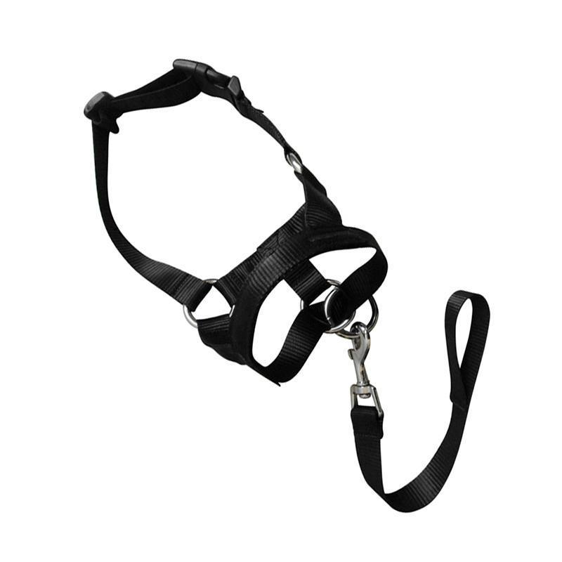 Black Dog Training Head Collar Halter Stop Pulling Training Tool Harness Strap Leader - XL