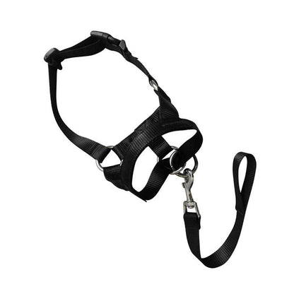 Black Dog Training Head Collar Halter Stop Pulling Training Tool Harness Strap Leader - XL