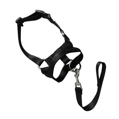 Black Dog Training Head Collar Halter Stop Pulling Training Tool Harness Strap Leader - XL