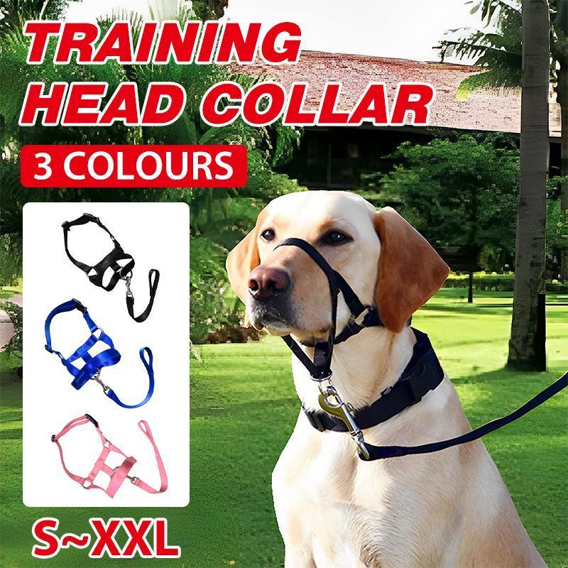 Pink Dog Training Head Collar Halter Stop Pulling Training Tool Harness Strap Leader - S