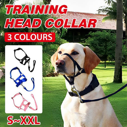 Pink Dog Training Head Collar Halter Stop Pulling Training Tool Harness Strap Leader - M