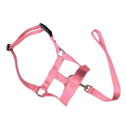 Pink Dog Training Head Collar Halter Stop Pulling Training Tool Harness Strap Leader - XL