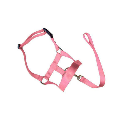 Pink Dog Training Head Collar Halter Stop Pulling Training Tool Harness Strap Leader - XXL