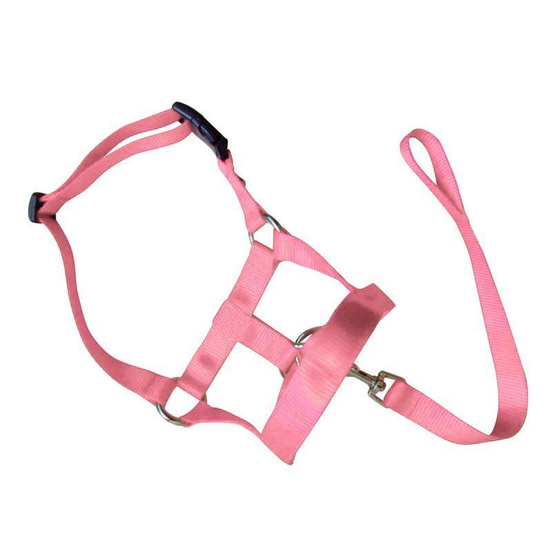 Pink Dog Training Head Collar Halter Stop Pulling Training Tool Harness Strap Leader - XXL