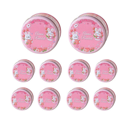10PCS Cookie Tin Box Metal Biscuit Gift Box Candy Packaging Dragon Year Baking - Carrot Rabbit