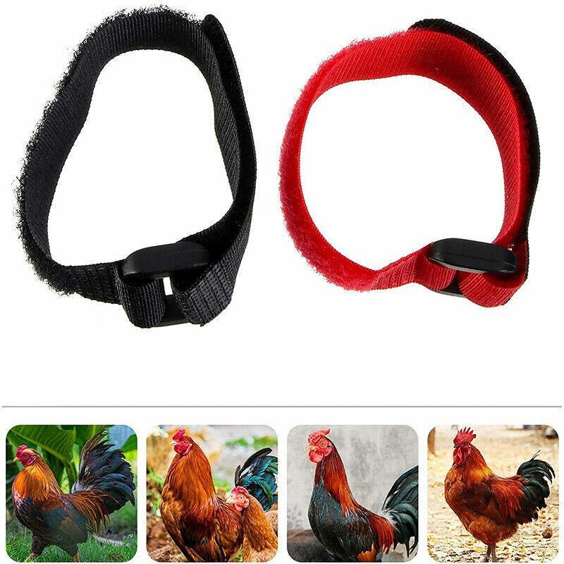 10pcs Rooster Anti Crow Collar Adjustable Nylon Neck Belt Poultry Sound Control - Black