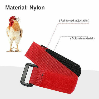 10pcs Rooster Anti Crow Collar Adjustable Nylon Neck Belt Poultry Sound Control - Red