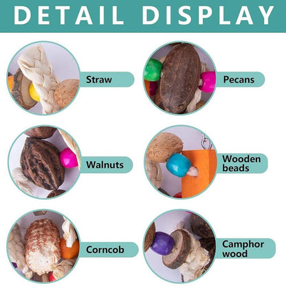 Colourful Parrot Toy Chew Corn Cob Fun Toy for Birds Safe Natural Playtime