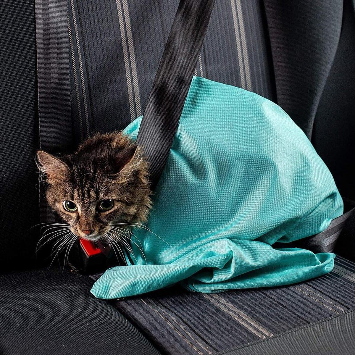 Portable Pet Shoulder Tote Bag for Cats and Small Dogs Outdoor Travel Carrier - Black