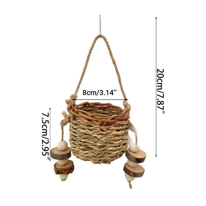 Pet Teething Stick Set Chew Toys for Hamster Dental Care Small Animal Supplies