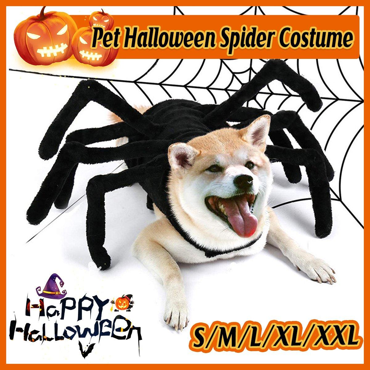 Pet Spooky Big Spider Halloween Costume Dress Up for Dogs Cats and Small Pets - L
