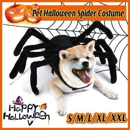 Pet Spooky Big Spider Halloween Costume Dress Up for Dogs Cats and Small Pets - L