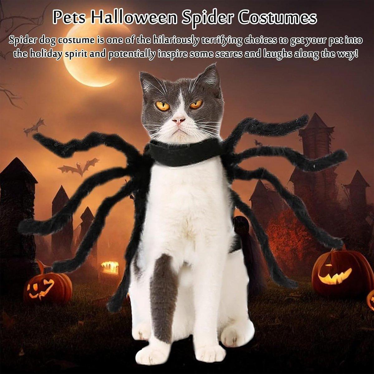 Pet Spooky Big Spider Halloween Costume Dress Up for Dogs Cats and Small Pets - L