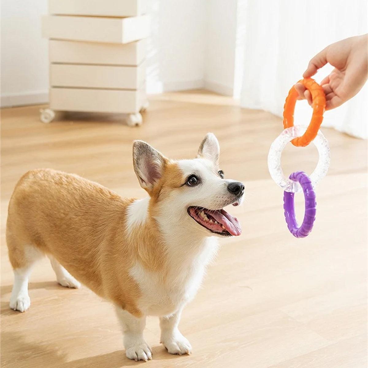 Interactive Dog Toys TRP Rubber Ring Teething Pet Rally Ring Chew Play Fetch - Blue-Purple